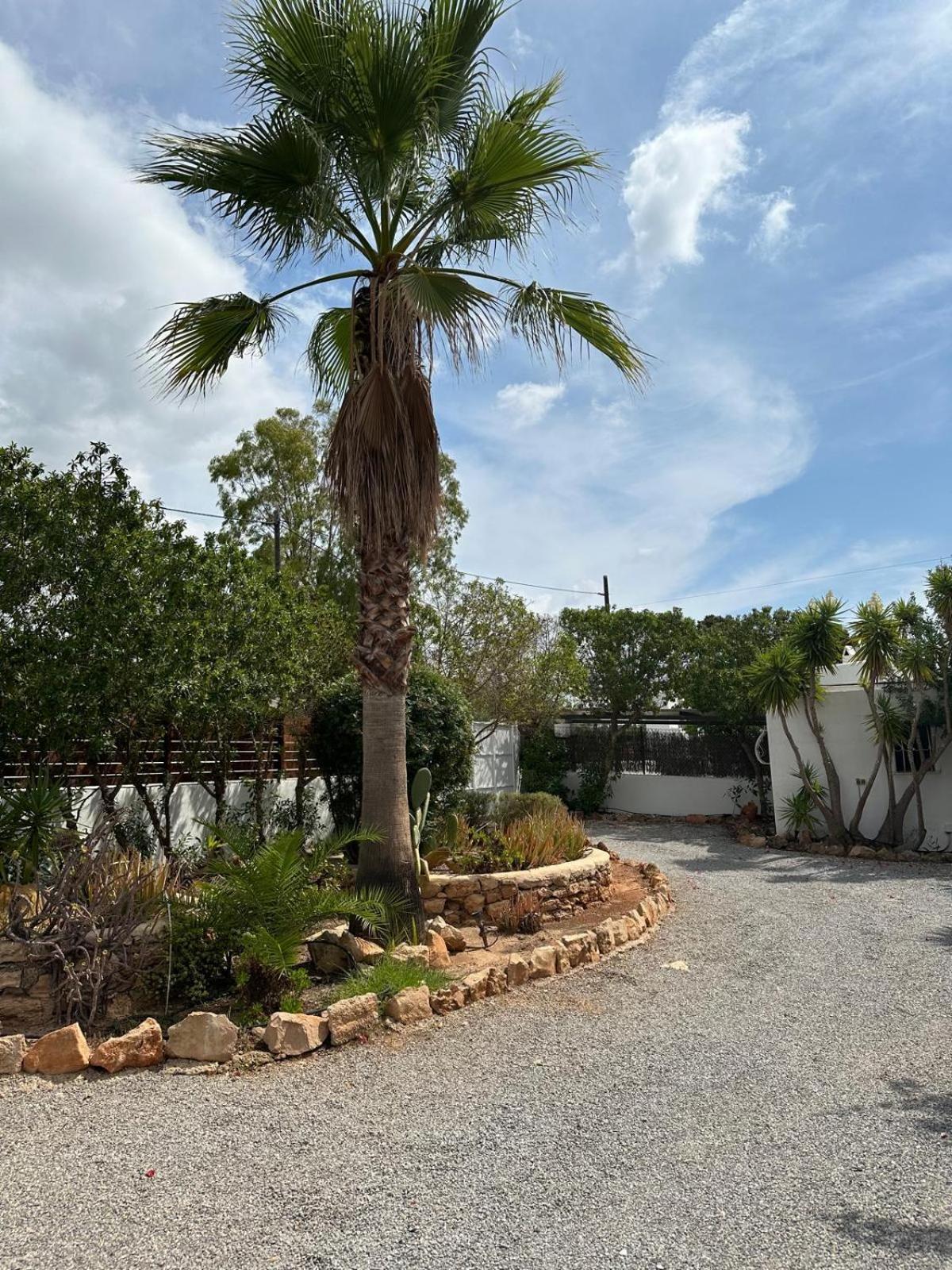 Villa Micasa Ibiza San Antonio Abad Exterior foto